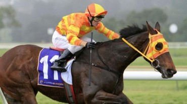 Tips for Belmont 14th July